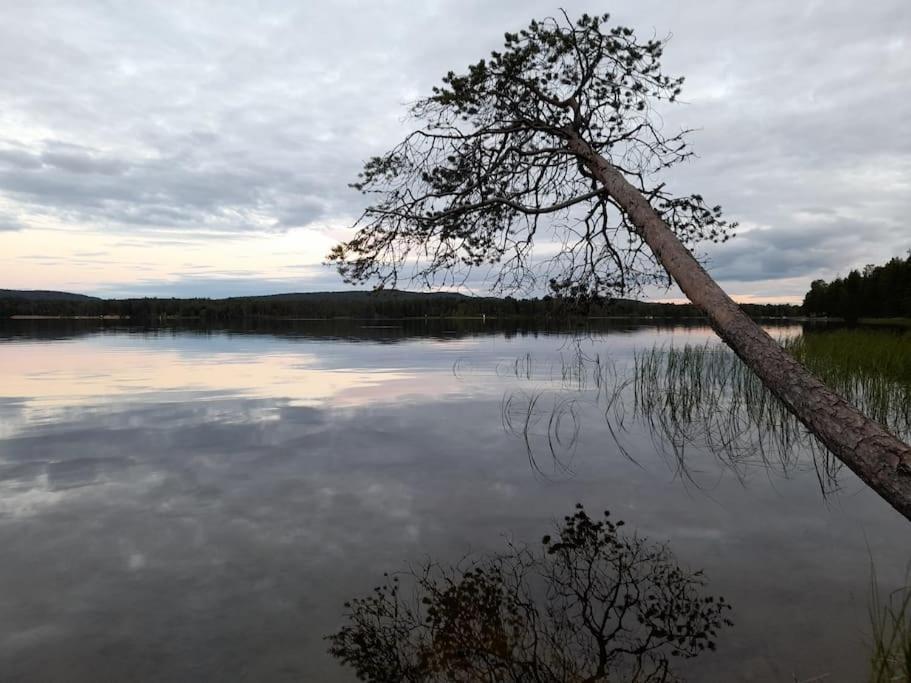 Uusi Hirsimoekki 7 Henkiloelle Villa Inari Luaran gambar